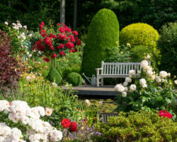 Garten mit Teich und Bank und schöner Bepflanzung Garten mit Rosen