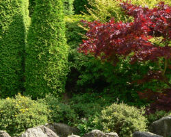 Gartenbepflanzung Gartenbepflanzung